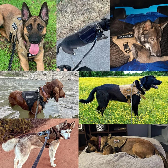 Military Grade Dog Harness | Tactical Training Vest with Quick-Release System