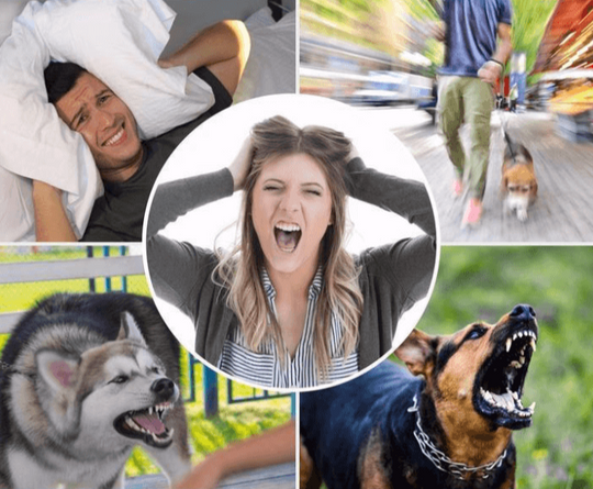 Ultrasonic Anti-Barking Dog Trainer with Adjustable Range for Indoor or Outdoor Use