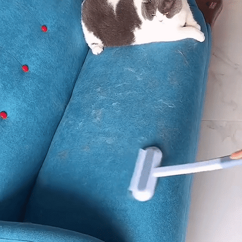 PetClean Pro 3-in-1 Pet Hair Remover Brush for Carpets, Rugs, and Home Furniture