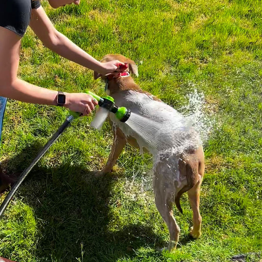 WashBuddy Dog Shower Sprayer with 360-Degree Spray Flow and Built-In Water Regulator