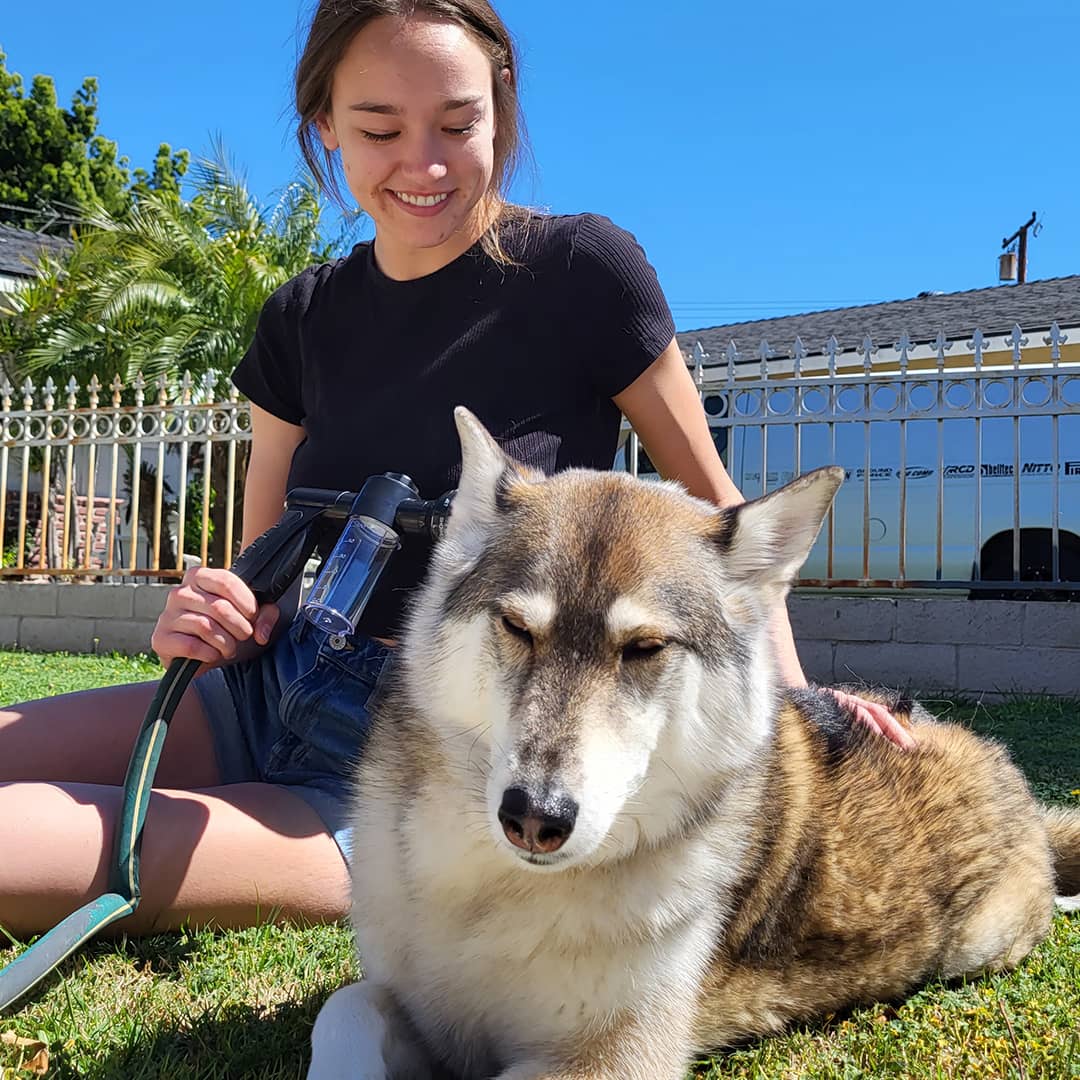 WashBuddy Dog Shower Sprayer with 360-Degree Spray Flow and Built-In Water Regulator