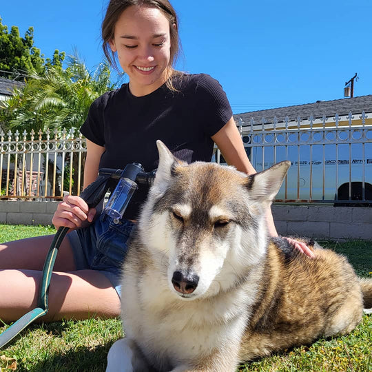 WashBuddy Dog Shower Sprayer with 360-Degree Spray Flow and Built-In Water Regulator