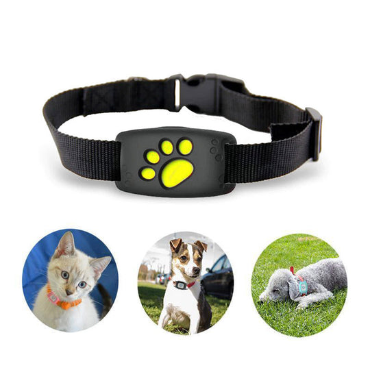 GPS Pet Tracker Collar with Real-Time Location, Geo-Fence and No Subscription Fees